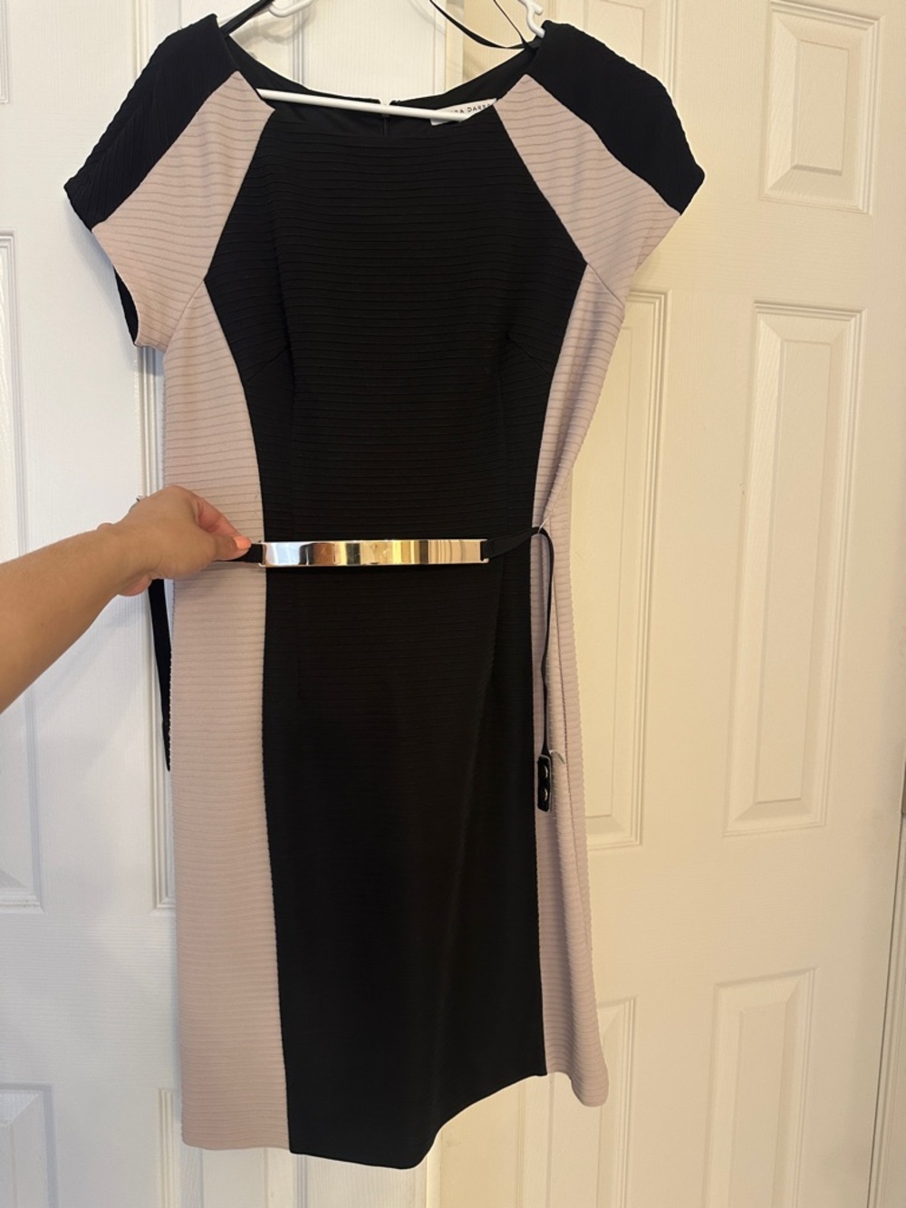Sandra Darren Black and Light Pink Colorblock Sheath Dress with Metallic Accent